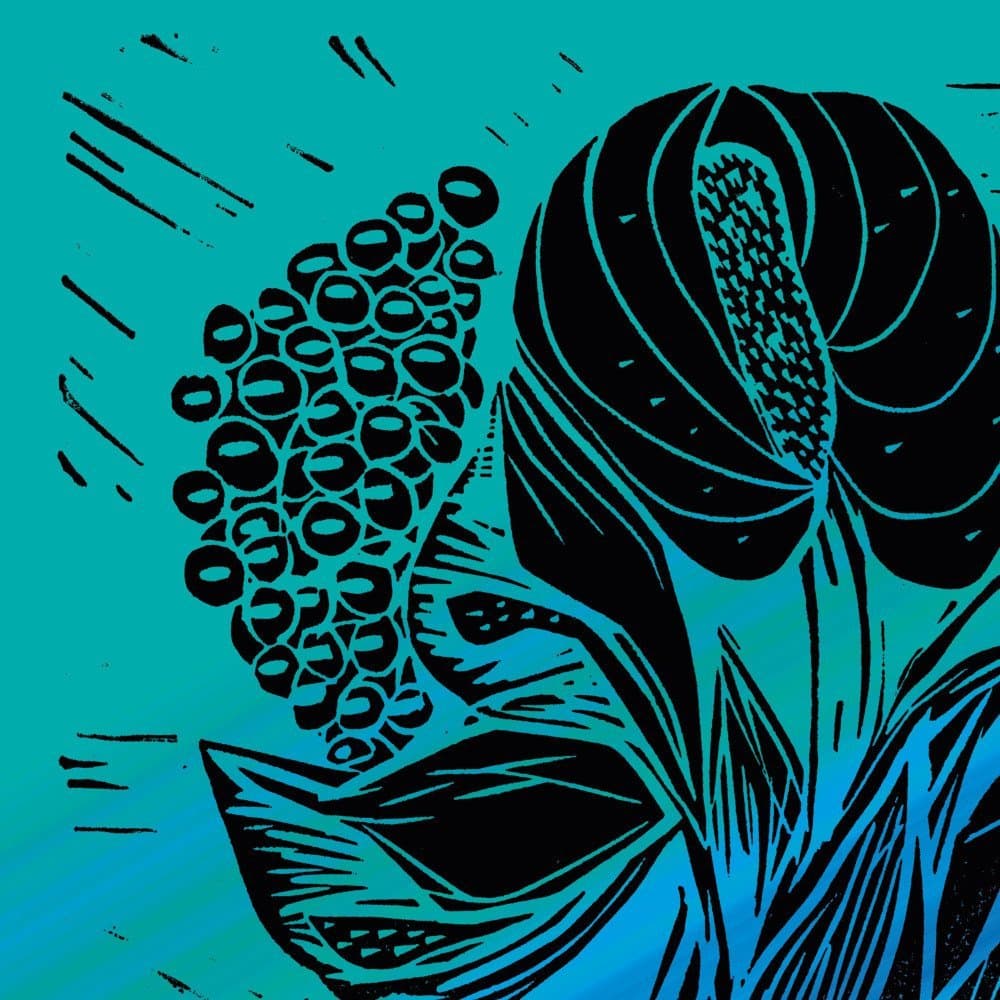 Hvmble presenta su primer lanzamiento