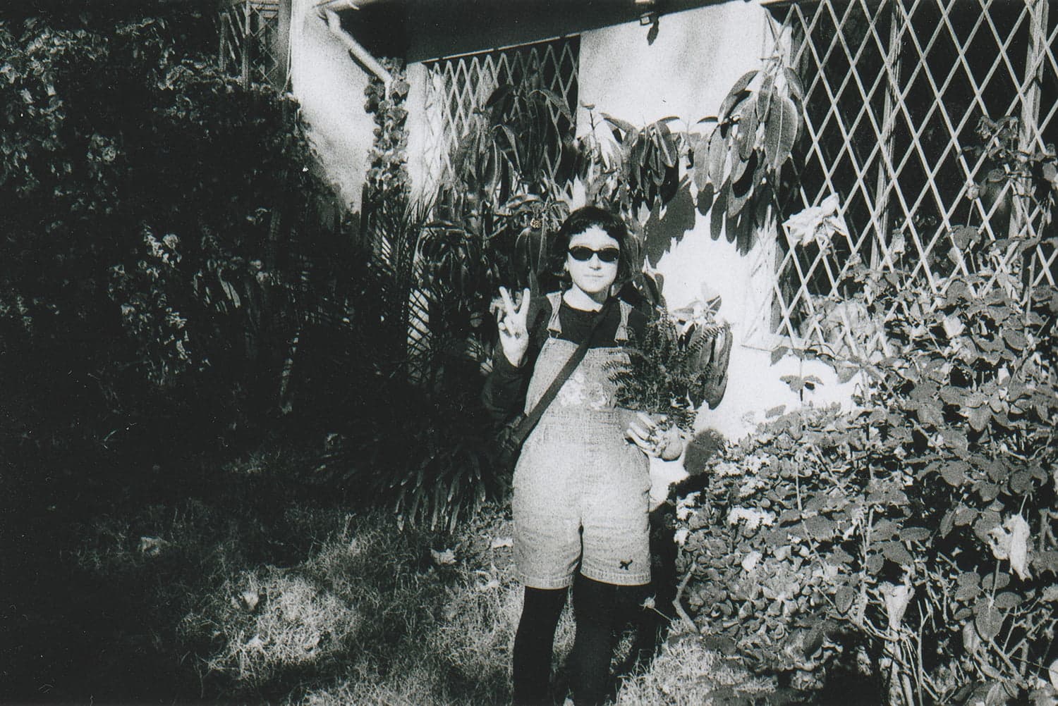 I S L A presenta compilado Distancia