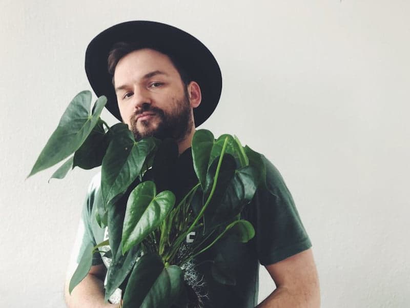 Das Komplex – Reverse Hallucination