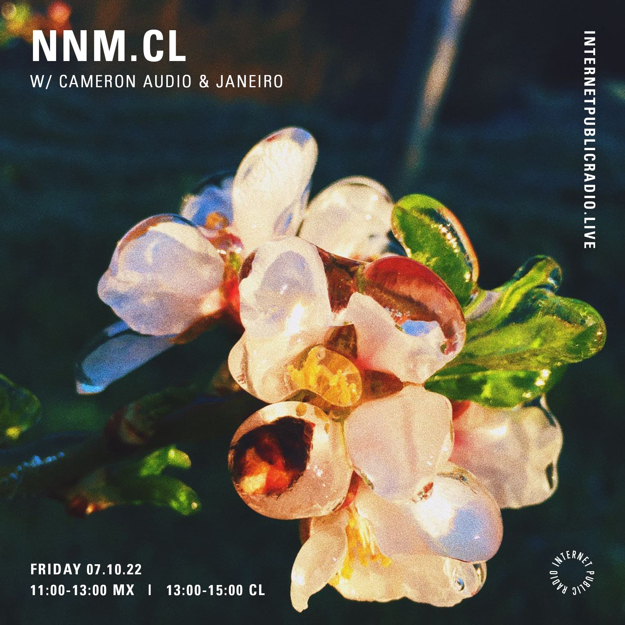 NNM.cl x IPR 033 w/ Cameron Audio & Janeiro 07-10-22