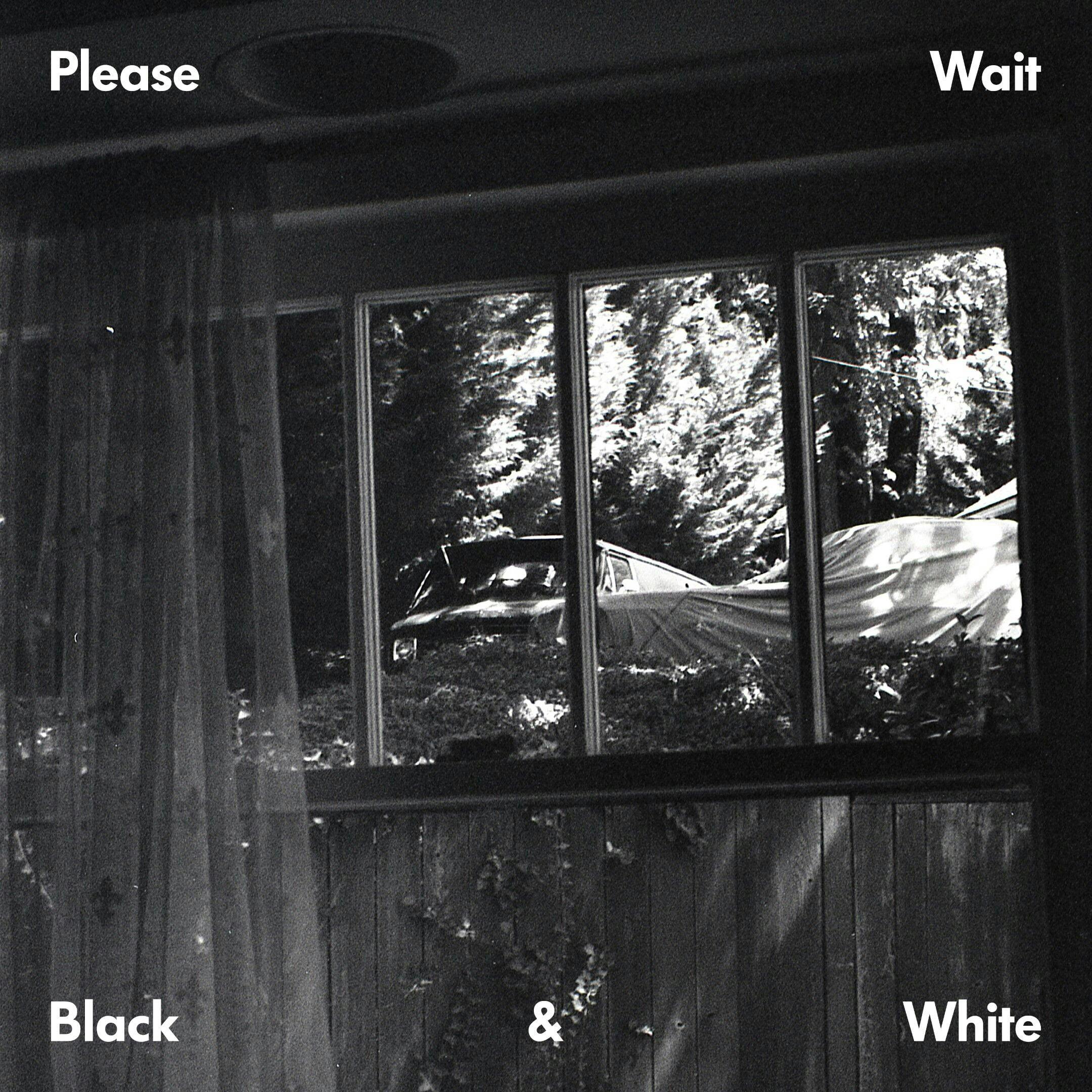 Please Wait – Black & White EP